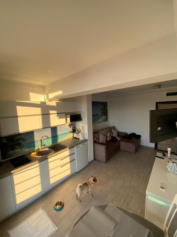 Apartament Edu Beach Resort Navodari Exterior photo